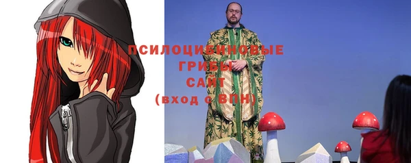 амф Мегион