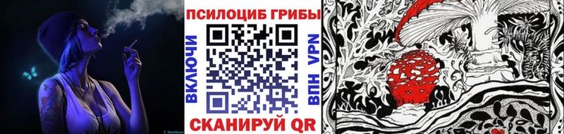 Псилоцибиновые грибы Psilocybine cubensis  купить наркоту  Воронеж 